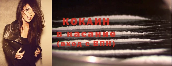 соль ск Михайлов