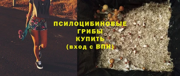 дурь Бронницы