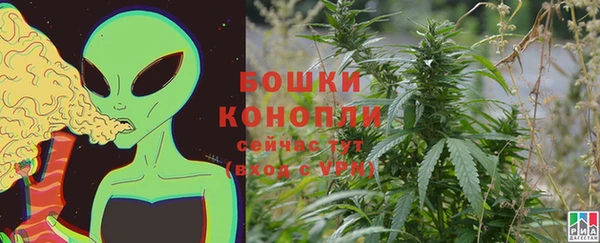 стаф Бугульма